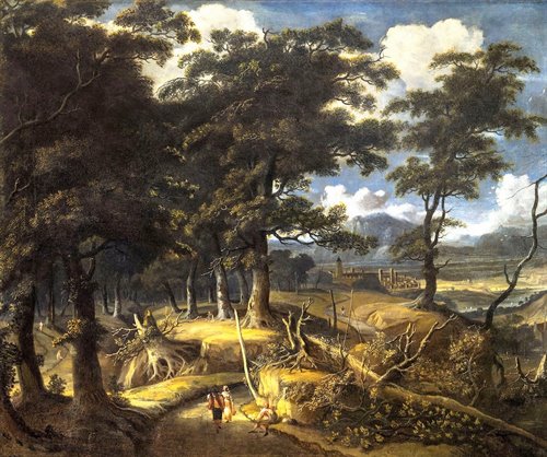 Paysage boisé 